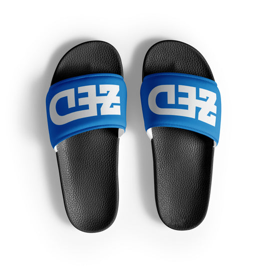 ZED slides